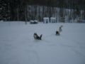 dscn0474.jpg