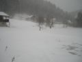 dscn0606.jpg