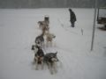 dscn0614.jpg