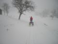 dscn0616.jpg