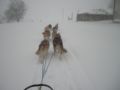 dscn0617.jpg