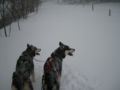 dscn0618.jpg
