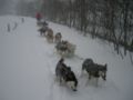 dscn0619.jpg