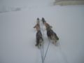 dscn0621.jpg