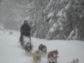 dscn0625.jpg