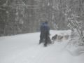 dscn0626.jpg