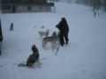 dscn0629.jpg