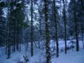 22.1.09_-_04.36.jpg
