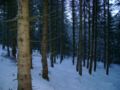22.1.09_-_04.37.jpg