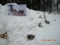 26.3.09_-_14.20.jpg