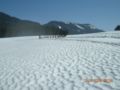 12.4.09__09.08_4.jpg