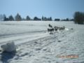 12.4.09__09.08_7.jpg