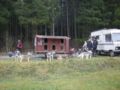 dscn1916.jpg