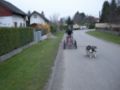 dscn1986.jpg