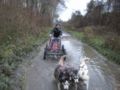 dscn2001.jpg