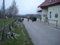 dscn2008.jpg