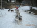 dscn2608.jpg