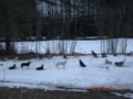 dscn2612.jpg