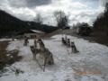 dscn2617.jpg