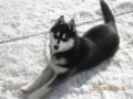 dscn2625.jpg