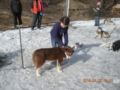 dscn2628.jpg