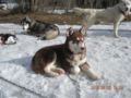 dscn2629.jpg