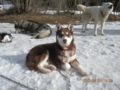dscn2630.jpg