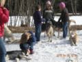 dscn2631.jpg
