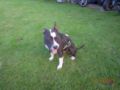 dscn3121.jpg