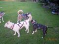 dscn3120.jpg