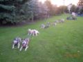dscn3133.jpg