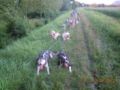 dscn3129.jpg