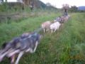dscn3125.jpg