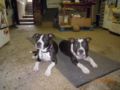 dscn3138.jpg