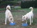 hat_der_was_anderes_als_ich.jpg