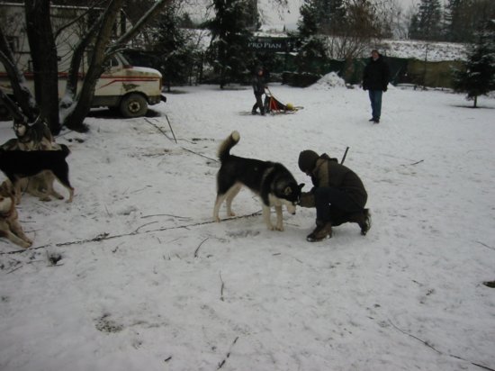img_9348.jpg