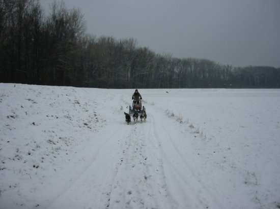 img_9356.jpg