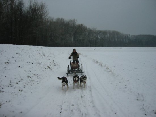 img_9357.jpg