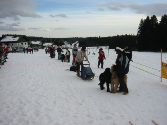 134_3481_img.jpg