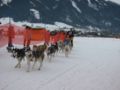 img_9375.jpg