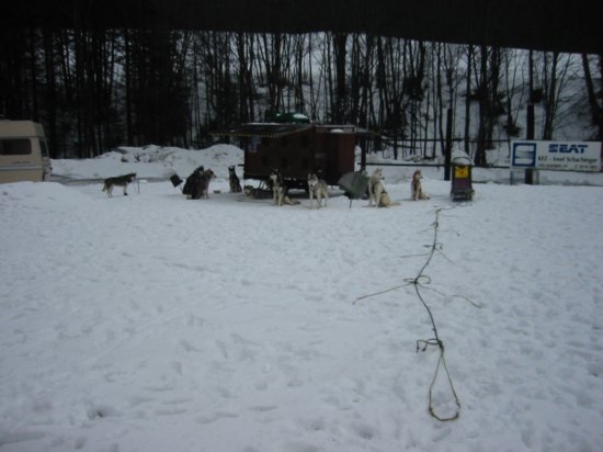 img_9436.jpg
