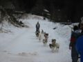 img_9424.jpg