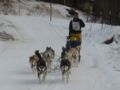 img_9426.jpg