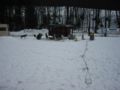img_9436.jpg
