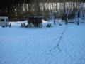 img_9439.jpg