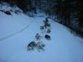 img_9443.jpg
