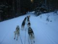img_9445.jpg