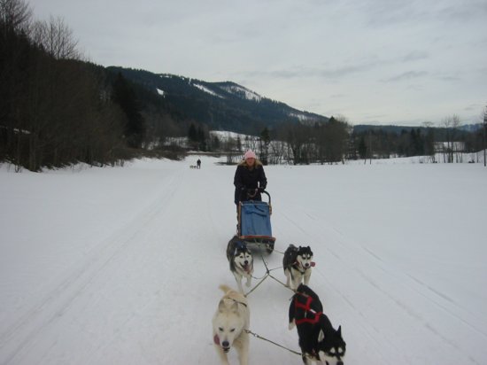 img_9460.jpg