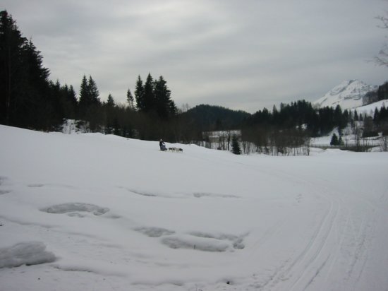 img_9463.jpg
