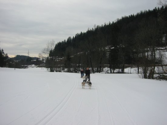 img_9466.jpg